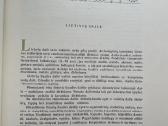 1954 metų leidimo knyga Lietuvių Dailė - nuotraukos Nr. 3
