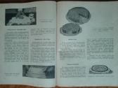 1897. Pažangi Šeimininkė reta antikvarinė-kolekcin - nuotraukos Nr. 6