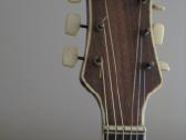 Gitara - nuotraukos Nr. 3