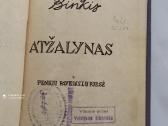 Kazys Binkis Atžalynas - nuotraukos Nr. 2