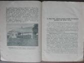 1902a. Kun. Tumo - Vaižganto Gyvenimas Ir Darbai - nuotraukos Nr. 4