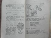 1903. Sveika Marija K. Žitkus - nuotraukos Nr. 8
