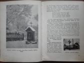1904. Naujoji Lietuva antikvarinė-kolekcinė - nuotraukos Nr. 6