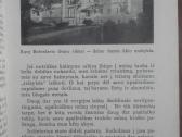 1904. Naujoji Lietuva antikvarinė-kolekcinė - nuotraukos Nr. 14