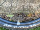 MTB 29er Boost Ratai Microspline Su Padangom - nuotraukos Nr. 5