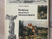 Kamenava. Kokios spalvos vaivorykštė. Dailės knyga