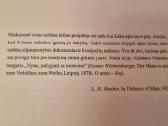 Vyrai padermės apžvalga - nuotraukos Nr. 3