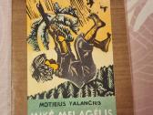 Mikė melagėlis - nuotraukos Nr. 2