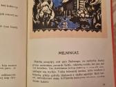 Mikė melagėlis - nuotraukos Nr. 6