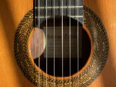 Profesionali gitara Francisco Esteve mod. 12