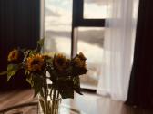 Kaunorama apartamentai prie Žalgirio arenos - nuotraukos Nr. 7