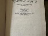 G.petkevicaite-bite Is gyvenimo verpetu 1990 m - nuotraukos Nr. 2