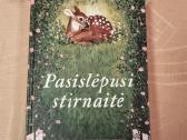 Pasislėpusi stirnaitė