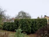 Aplinkos Tvarkymas Vilkaviškis Marijampolė ir k.t - nuotraukos Nr. 4