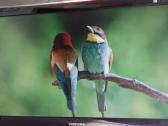 Samsung P2770 68cm. - nuotraukos Nr. 5