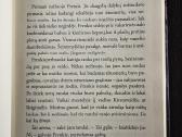 Beveik tikra Džeko istorija. Kelly Barnhill - nuotraukos Nr. 4