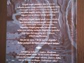 Stebuklinga kelionė. Mel Hartman - nuotraukos Nr. 6