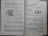 1911. Saulės Ir Mėnulio Užtemimai - nuotraukos Nr. 4