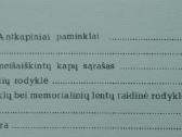 1917. Rasos V. Girininkienė - nuotraukos Nr. 3