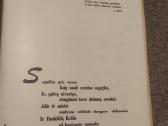 Knyga Donelaitis - nuotraukos Nr. 3