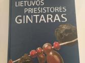 Knyga Lietuvos priešistores gintaras