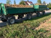 Parduodamos bulvės. - nuotraukos Nr. 2