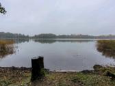 Paplūdimių įrengimas,nendrių naikinimas Molėtų raj - nuotraukos Nr. 18