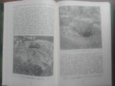 1925. Pagonybės Ir Krikščionybės Santykiai Lietuvo - nuotraukos Nr. 4