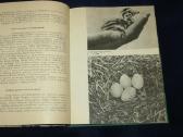 Knyga Sparnuočių namai 1976 - nuotraukos Nr. 7