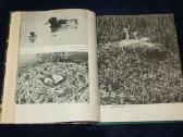 Knyga Sparnuočių namai 1976 - nuotraukos Nr. 8