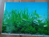 Akvariumo dekoracija:šaka,neršykla,dugno siurbėjas - nuotraukos Nr. 8