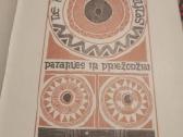 Knyga Čir vir vir pavasaris - nuotraukos Nr. 3