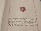 Knyga Čir vir vir pavasaris - nuotraukos Nr. 4