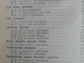 1938. Hitleriniai Parašiutininkai - nuotraukos Nr. 2