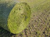 Šiaudai_słoma_silosas_kiszonka_šienainis - nuotraukos Nr. 2