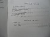 I . Cankaras - Varguolių gatvėje - nuotraukos Nr. 2