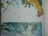 1943. Erzahlungen Über Die Natur (рассказы О Приро - nuotraukos Nr. 8