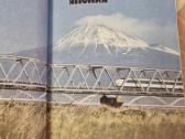 Dviaukštė Japonija - nuotraukos Nr. 3