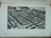 1948. Tarptautinė Darbo Organizacija K. Strimaitis - nuotraukos Nr. 4