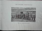 1951. Dėl Tėvynės unikali antikvarinė-kolekcin - nuotraukos Nr. 4