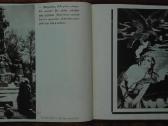 1951. Dėl Tėvynės unikali antikvarinė-kolekcin - nuotraukos Nr. 9