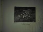 1951. Dėl Tėvynės unikali antikvarinė-kolekcin - nuotraukos Nr. 12