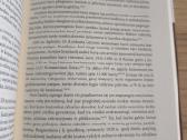 Karas taikos metu.paramilitarizmas 1917-1923 m. - nuotraukos Nr. 6