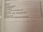 Lietuvos istorijos problemos 11 kl - nuotraukos Nr. 5