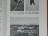1955. Auksas E. Schujtze - nuotraukos Nr. 4