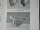 1955. Auksas E. Schujtze - nuotraukos Nr. 6
