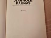 Diagnozė Kaunas - nuotraukos Nr. 2