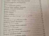 Kvieslys sveikaton - nuotraukos Nr. 3