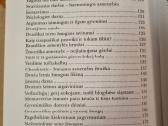 Kvieslys sveikaton - nuotraukos Nr. 4
