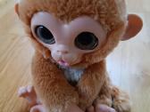 "Furreal" interaktyvi beždžionėlė - nuotraukos Nr. 2